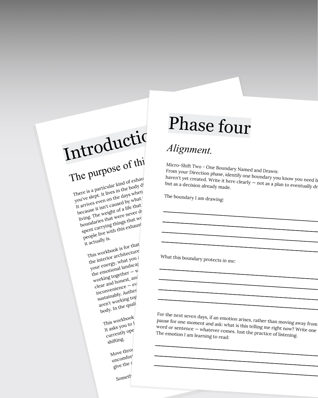 Balance Boundaries & Emotions Workbook