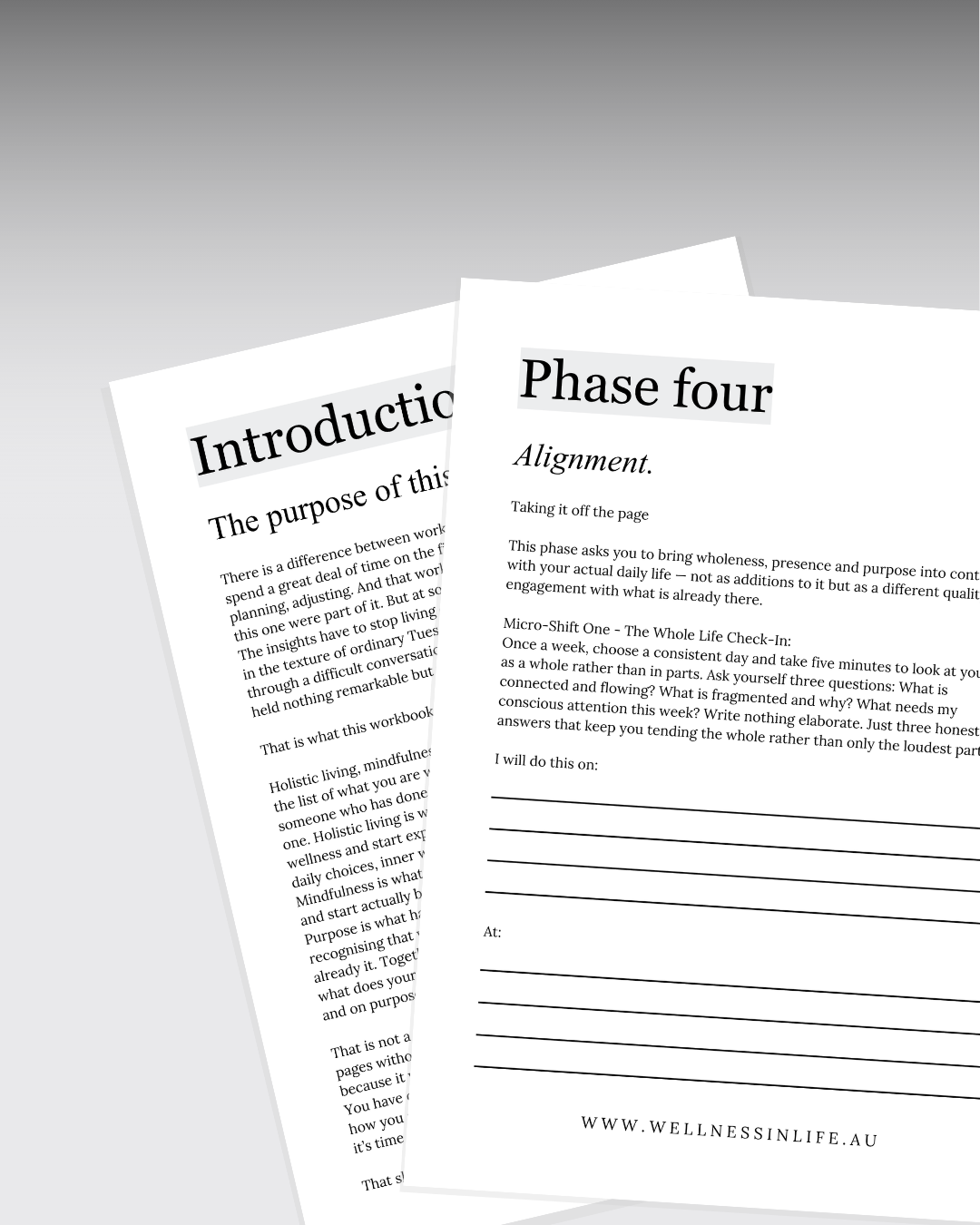 Holistic Mindfulness & Purpose Workbook