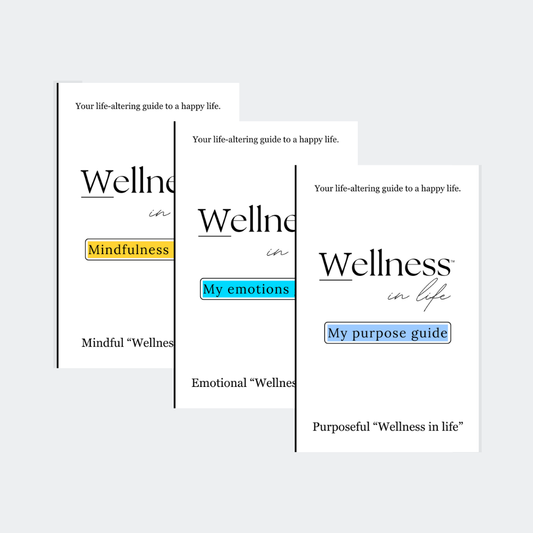 Three white eBooks titled 'Wellness in life' in the professional product photo bundle. It includes: "Mindfulness guide", "My emotions guide", "My purpose guide". A bundle for inner peace essentials guiding others to their own wellness in life.