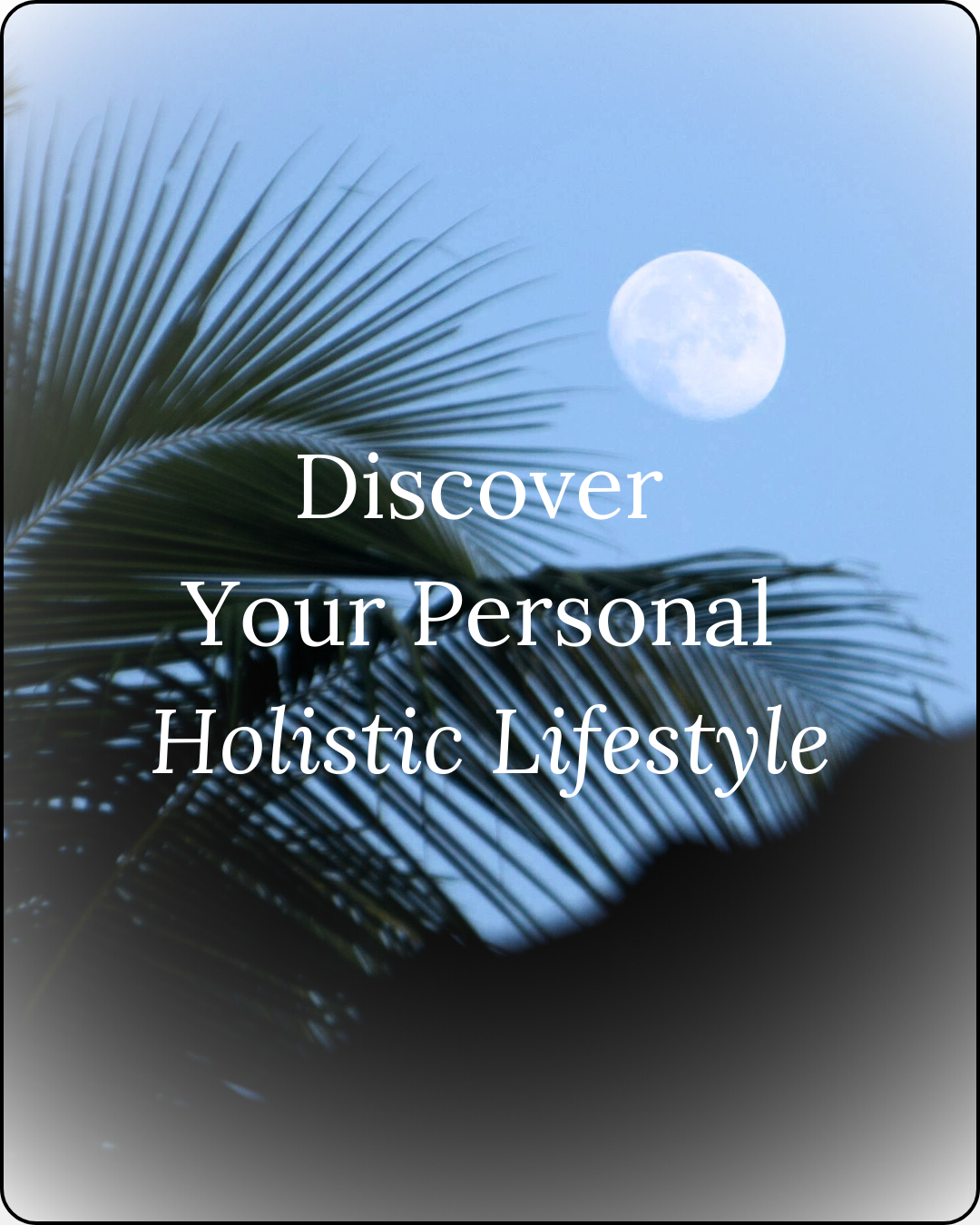 Photo of palm leaves with moonlit sky, with text 'discover your personal holistic lifestyle' overlayed on top of the image photo for the wellness blog 'thoughts worth curating'