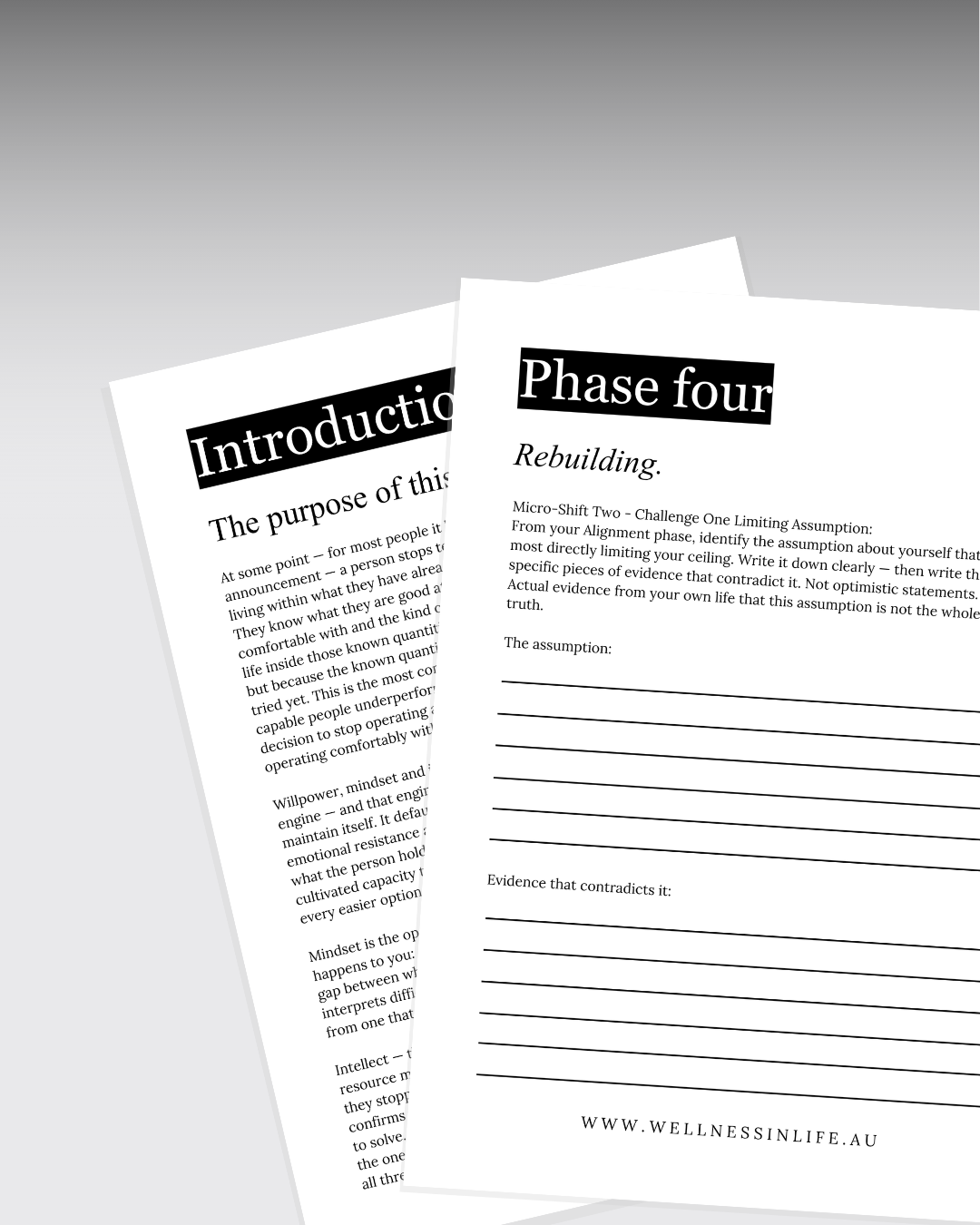 Willpower Mindset & Intellect Workbook