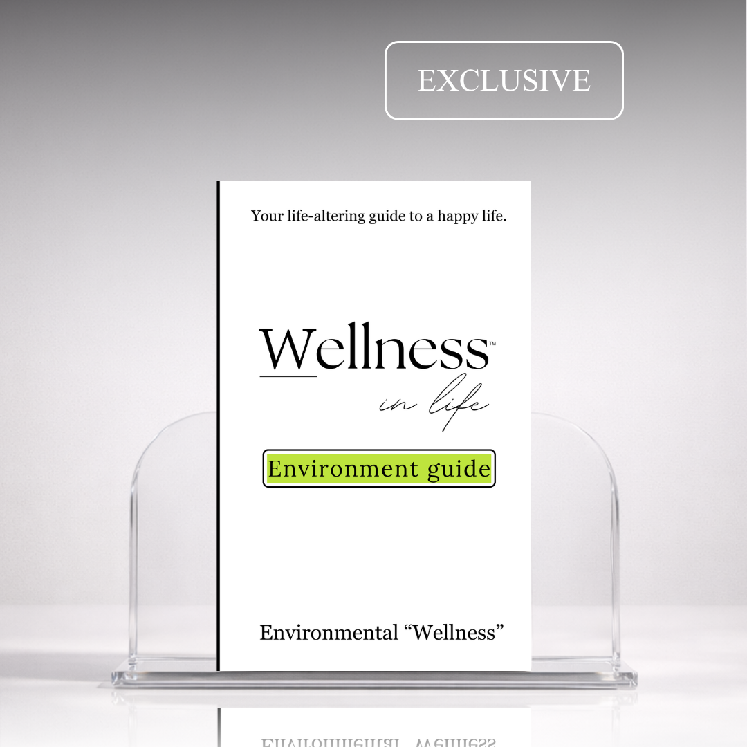 My environment guide